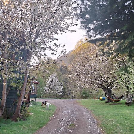 Casaverde Hostal Ecologico Malalcahuello Bagian luar foto